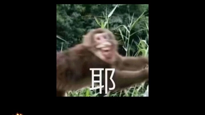 So the little prank Earth had in store for everyone was just discovered??