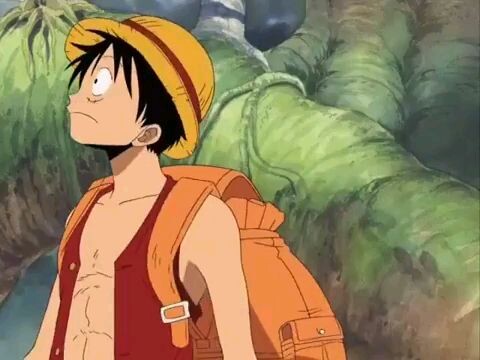 Nyian kalbu cpt. Mugiwara D Luffy