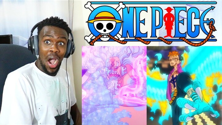 MARCO AND HYOGORO POPPED OFF🌸🌸🌸 ONE PIECE EPISODE 1022 REACTION VIDEO!!!