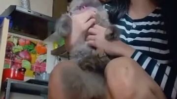 Sa pusa ang tingin🤣❤️‍🔥