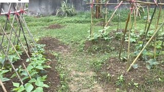 Cà tím xào thịt bò bằm, vịt kho gừng những món ăn đơn giản_ 2