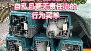 Car owner with license plate Su J, please take your 14 furry babies back home from the estate.