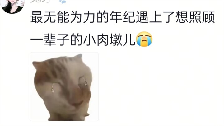 A little chubby kid from Shandong!