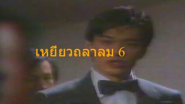 เหยี่ยวถลาลม6