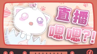 传下去 猫猫当众直播‘嗯嗯’