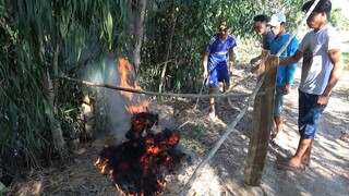 THỎ XÀO RỪNG ĂN RỒI NHỚ MÃI - TT85