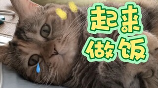 我一睁眼这个要饭的快哭了1