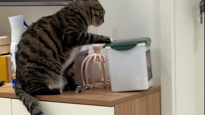 原来臭卷宝也怕“蜀道三”