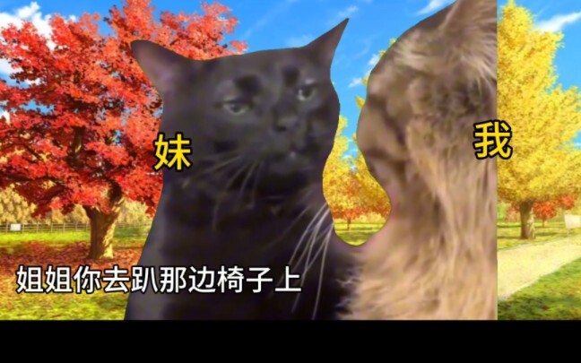 【猫meme】关于我小时候强制和我妹玩sm并且同化我妹这件事…