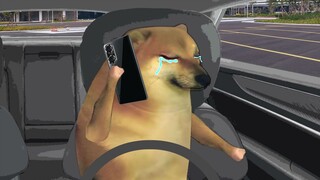 如果有机会，我愿意当你一辈子的爸爸