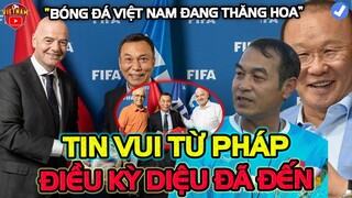 U19 Việt Nam Chưa Đá AFF Cup Đã Nhận Tin Vui Từ Pháp, Hiệu Ứng Kỳ Diệu Từ Quang Hải, Pau FC, ĐT Nữ