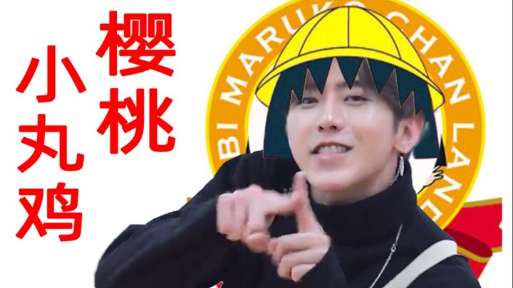 [Cai Xukun] Cherry Little Chicken Ball