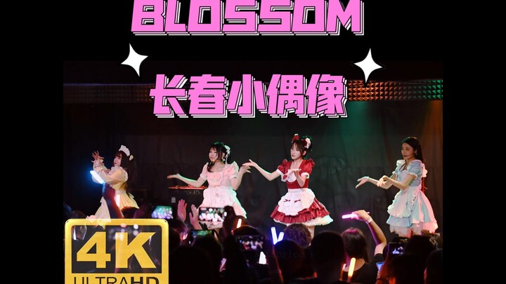 Blossom Changchun Underground Idol ภาษาถิ่นอีสาน CALL 4K50P