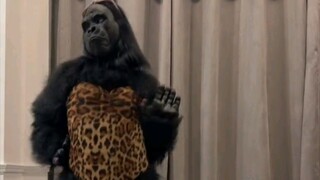 gorilla dance