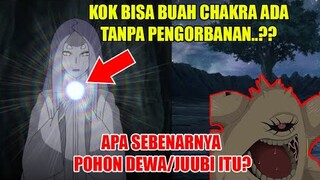 Kenapa Kaguya Bisa Menumbuhkan Buah Tanpa Tumbal Seorang Otsutsuki.?? Ini Penjelasannya..