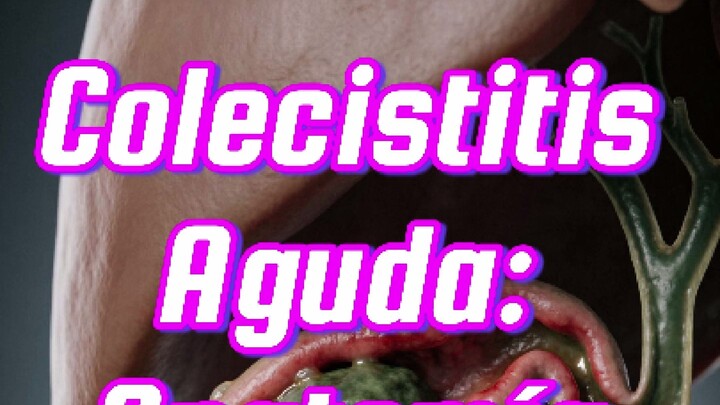 💊     𝘾𝙤𝙡𝙚𝙘𝙞𝙨𝙩𝙞𝙩𝙞𝙨 𝙖𝙜𝙪𝙙𝙖: 𝙖𝙣𝙖𝙩𝙤𝙢𝙞́𝙖 𝙙𝙚 𝙡𝙖 𝙤𝙗𝙨𝙩𝙧𝙪𝙘𝙘𝙞𝙤́𝙣