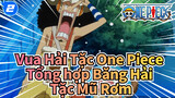Vua hải tặc One Piece| Băng Hải Tặc Mũ Rơm: Cuộc sống trên hạm đội (Tập 17)_2