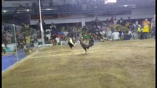 Durugan