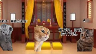 [Cat meme] Về việc mẹ tôi cố gắng sử dụng sức mạnh của ba tôn giáo để chữa khỏi bệnh tâm thần của tô