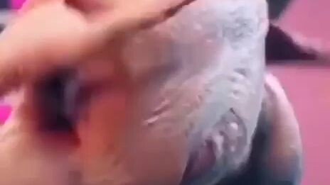 pee pee poo poo check 🚽💩