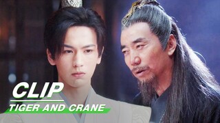 Lord Zhixie Suspects Yimei of using Evil Spirit Magic | Tiger and Crane EP16 | 虎鹤妖师录 | iQIYI