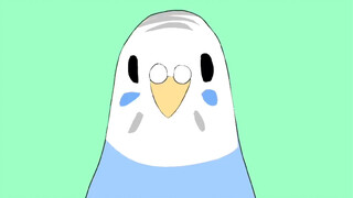 Hidup Terus Berjalan, tapi beberapa budgie