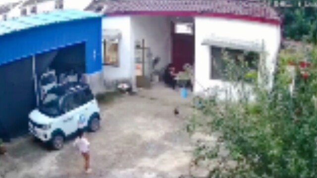 Chicken in Flight, So Sad