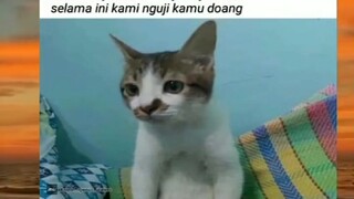 sabar dlu tinggal nunggu waktu ortu ngomong😄