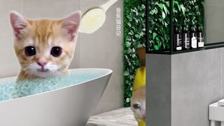 الميزات الجديدة لـ oiiai