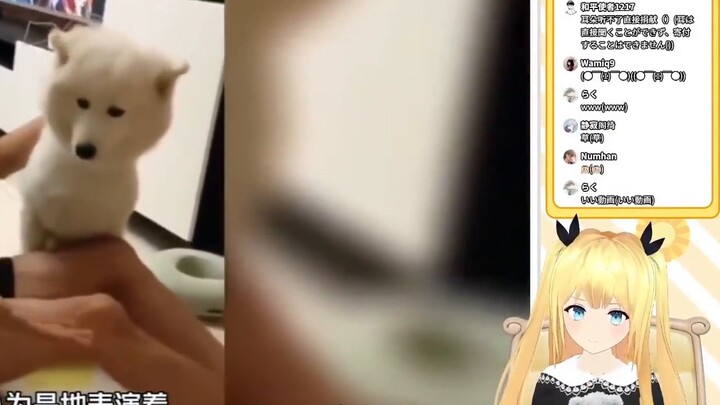 Japanese school girl watched "The Collapse of an Adult Dog in an Instant"