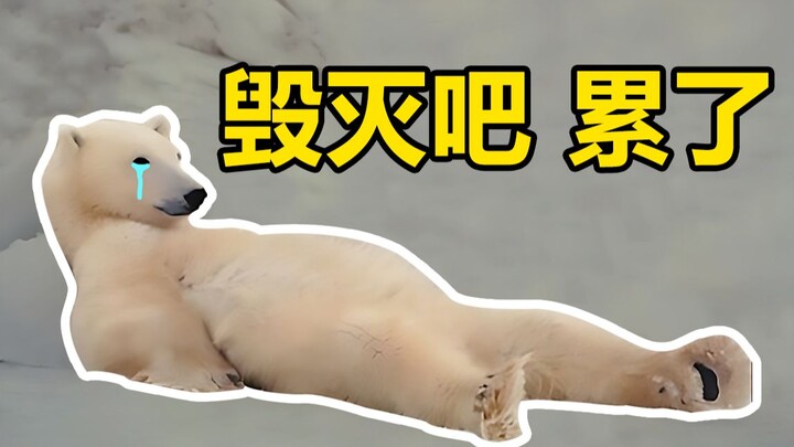 Wandering Through the Night Streets! (Episode 5)