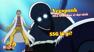 [Hồ sơ nhân vật]. Vegapunk - Nhà khoa học vĩ đại nhất thế giới