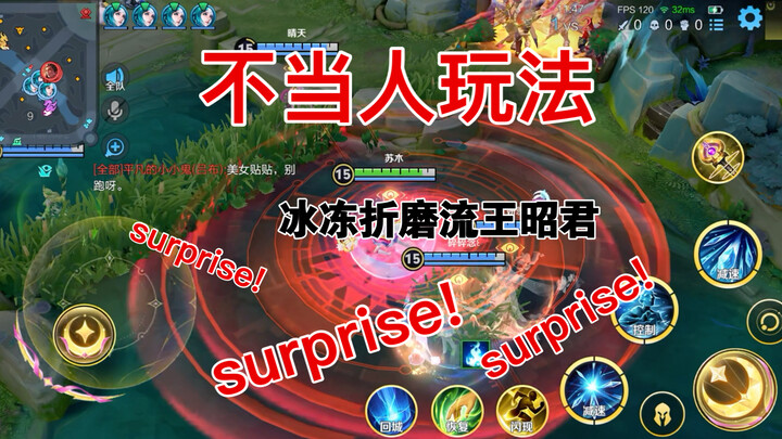 Frozen Torture Build Wang Zhaojun Haha