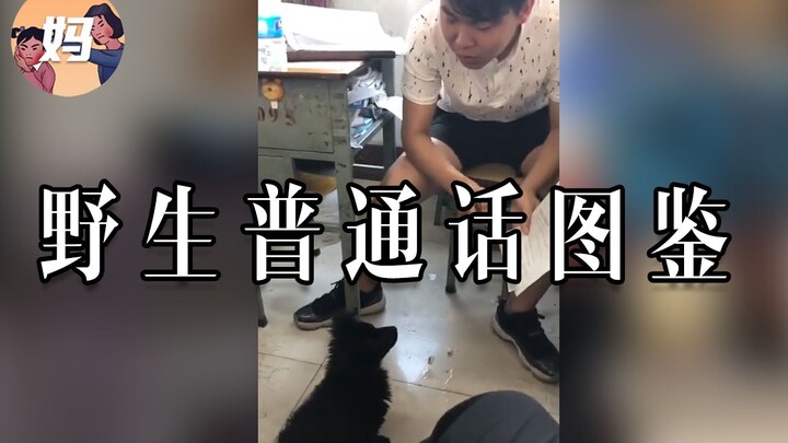 [Ilustrasi Manusia Liar] Seberapa Ketagihan Bahasa Mandarin Liar Ini?