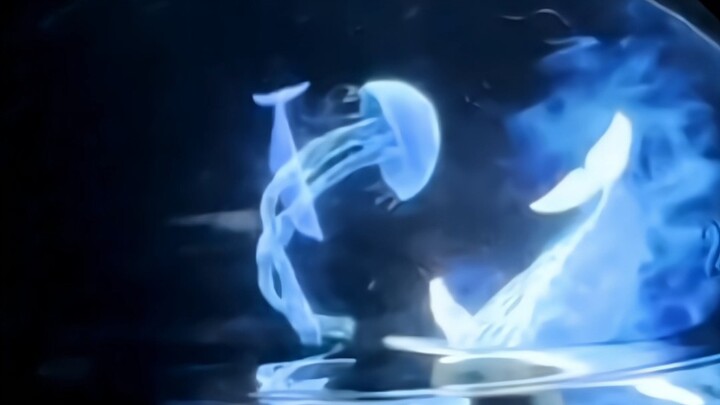 “من فضلك شاهد العرض المجسم الرومانسي ثلاثي الأبعاد”