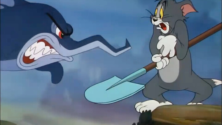 Tom: Bro, it's a misunderstanding.