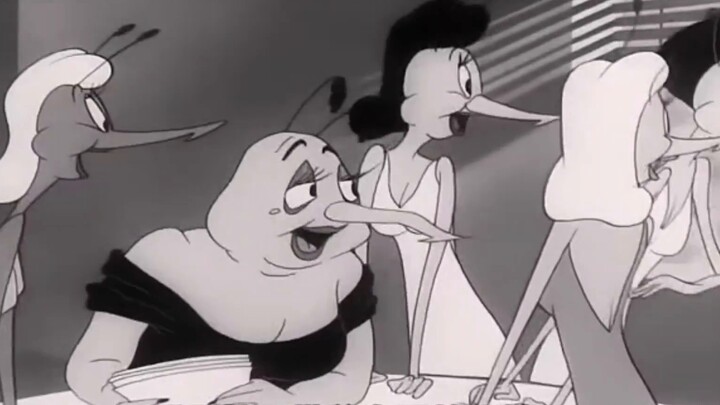 Have you ever seen such a charming female mosquito?