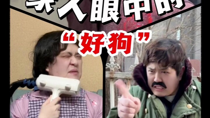 Seperti apa sebenarnya anjing yang baik di mata keluarga?