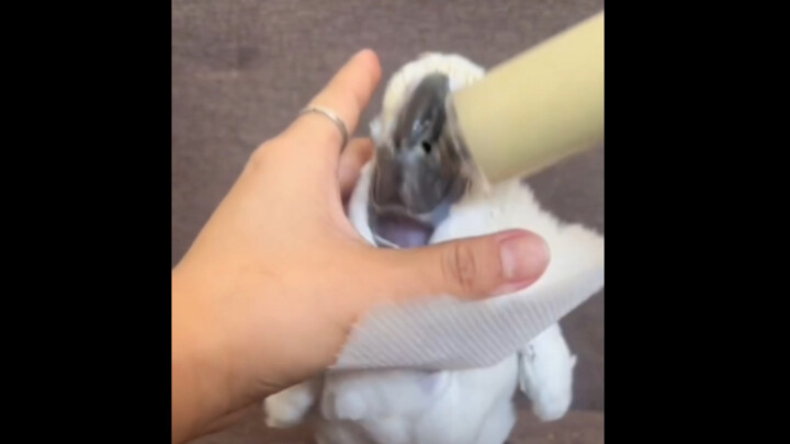 Yang nggak tahu bakal pikir aku menyiksa dia.