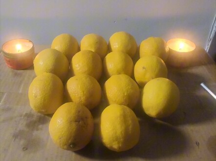Emergency Stockpile Pick: Lemons!