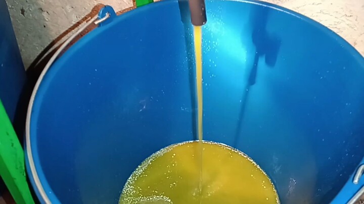 Como hacer ACEITE de OLIVA casero VIRGEN EXTRA Del arbol a la garrafa