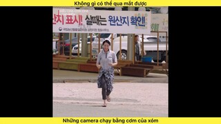 Điệu nhảy cha cha cha