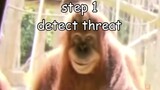 Monkey self defense training