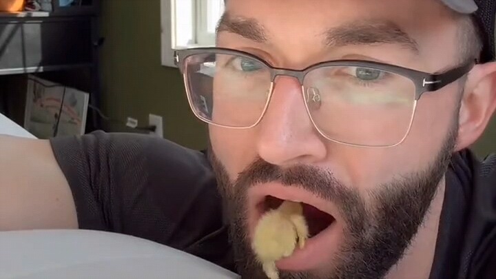 If you’re bored, just raise a little chick.
