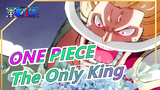 [ONE PIECE]One King of the sea is enough