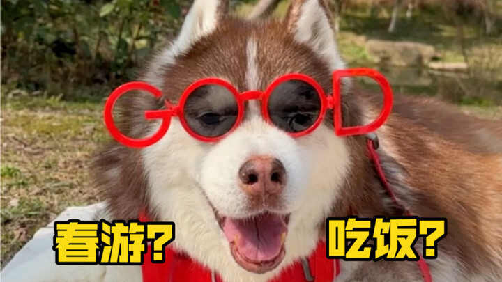 คนขี้อายพาเจ้าหมาน้อยสุดเฟรนด์ลี่ออกไปเที่ยวฤดูใบไม้ผลิจนถูกคนจับตามอง...