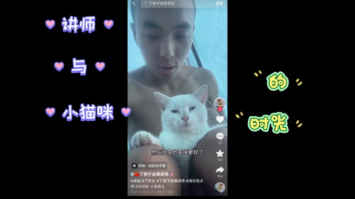 مجموعة كاملة من مشاهد القصة الحالية للمحاضر الماسي دينغ فاتزن مع الهرة الصغيرة 🐱