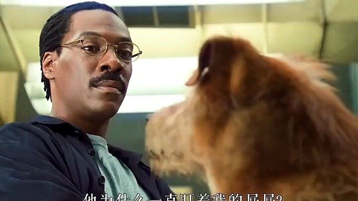 Anjing yang Bisa Berbicara