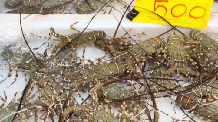 Perjalanan ke Thailand sang seniman acar mentah: tak mengacar lobster sama saja dengan nol!
