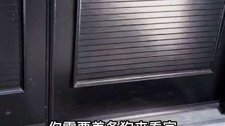 Nhất định phải nuôi một con chó dữ để canh nhà!!!